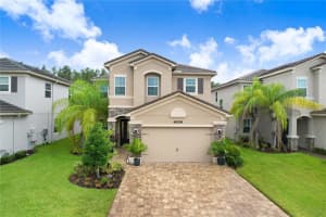 30868 LINDENTREE DRIVE, WESLEY CHAPEL, FL 33543 Sold 03/19/24