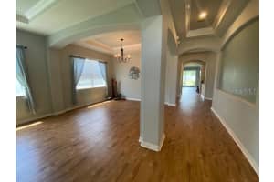 11133 WEMBLEY LANDING DRIVE, LITHIA, FL 33547 Sold 11/17/23