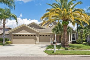 16825 NIKKI LANE, ODESSA, FL 33556 Sold 09/05/23