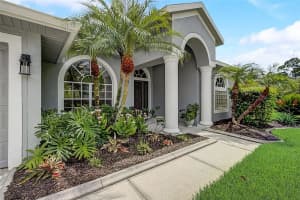 12909 TAR FLOWER DRIVE, TAMPA, FL 33626 Sold 11/30/23