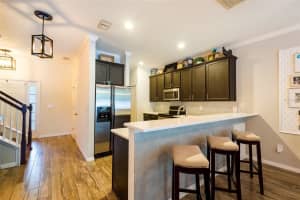 8161 STONE LEAF LANE, TAMPA, FL 33647 Sold 10/24/23