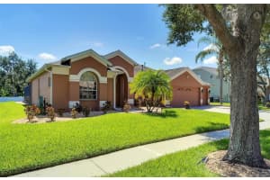 9614 BIRNAMWOOD STREET, RIVERVIEW, FL 33569 Sold 09/11/23