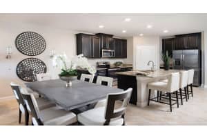 32224 CANNON RUSH DRIVE, SAN ANTONIO, FL 33576 - MLS#MFRT3460519