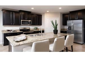 32224 CANNON RUSH DRIVE, SAN ANTONIO, FL 33576 - MLS#MFRT3460519