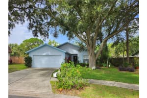4609 COUNTRY HILLS COURT, PLANT CITY, FL 33566 Sold 09/08/23