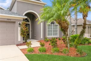 19208 MEADOW PINE DRIVE, TAMPA, FL 33647 Sold 09/15/23