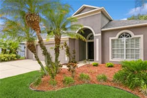 19208 MEADOW PINE DRIVE, TAMPA, FL 33647 Sold 09/15/23