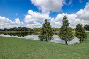 9503 LAUREL LEDGE DRIVE, RIVERVIEW, FL 33569 Sold 10/29/23