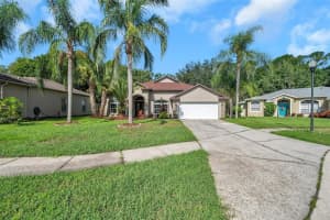 8516 POYDRAS LANE, TAMPA, FL 33635 Sold 09/01/23