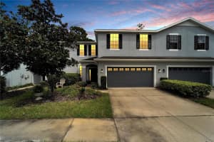 20515 GRAND VISTA LANE, TAMPA, FL 33647 Sold 12/26/23
