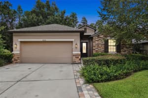 8531 MAY PORT COURT, LAND O LAKES, FL 34638 Sold 09/15/23