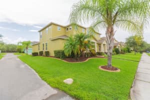 6933 FROG POCKET PLACE, TAMPA, FL 33616 Sold 10/09/23