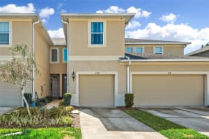 2129 BROADWAY VIEW AVENUE, BRANDON, FL 33510 Sold 10/17/23