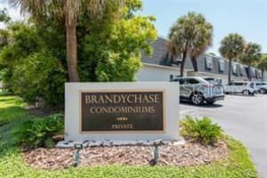 4325 AEGEAN DRIVE, TAMPA, FL 33611 Sold 11/01/23