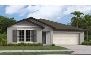 22075 Blazing Star Run, LAND O LAKES
