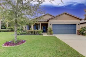 419 PAINTED LEAF DRIVE, BROOKSVILLE, FL 34604 Sold 12/13/23