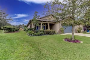 419 PAINTED LEAF DRIVE, BROOKSVILLE, FL 34604 Sold 12/13/23