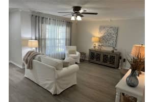 317 SUMMER SAILS DRIVE, VALRICO, FL 33594 Sold 10/20/23