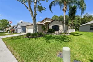 3802 LOCKRIDGE DRIVE, LAND O LAKES, FL 34638 Sold 09/22/23