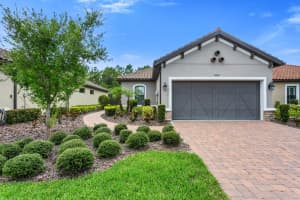 8307 ALBERATA VISTA DRIVE, TAMPA, FL 33647 Sold 12/01/23