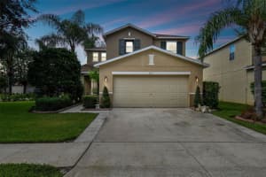 18907 RANDALL PLACE, LAND O LAKES, FL 34638 Sold 10/20/23