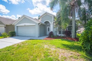 10512 PEPPERGRASS COURT, TRINITY, FL 34655 Sold 10/17/23