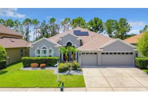 23620 ABERCORN LANE, LAND O LAKES, FL 34639 Sold 12/07/23