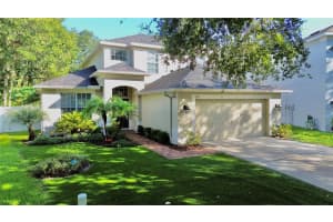 7313 BRIGHTWATER OAKS DRIVE, TAMPA, FL 33625 Sold 09/15/23