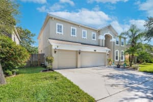11440 DUTCH IRIS DRIVE, RIVERVIEW, FL 33578 Sold 09/27/23