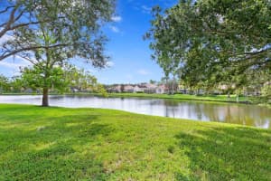 17801 ARBOR HAVEN DRIVE, TAMPA, FL 33647 Sold 10/20/23