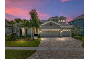 8206 WATER COLOR DRIVE, LAND O LAKES, FL 34638 Sold 01/09/24
