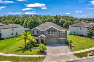 22500 CHEROKEE ROSE PLACE, LAND O LAKES, FL 34639 Sold 09/18/23