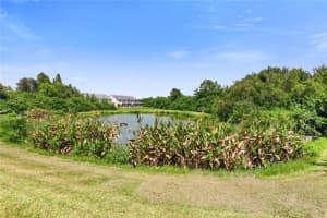 5803 LEOPARDSTOWN DRIVE, TAMPA, FL 33610 Sold 01/29/24