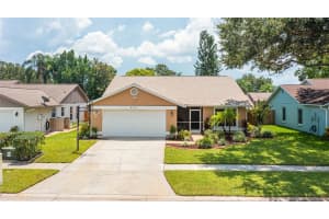 8703 HAMPDEN DRIVE, TAMPA, FL 33626 Sold 10/16/23