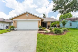 8703 HAMPDEN DRIVE, TAMPA, FL 33626 Sold 10/16/23