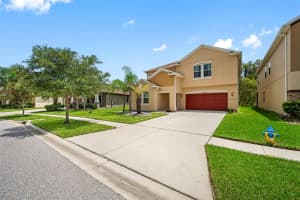 19194 ALEXANDREA LEE COURT, LAND O LAKES, FL 34638 Sold 05/16/24