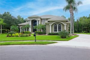 5016 GIVENDALE LANE, TAMPA, FL 33647 - MLS#MFRT3465715