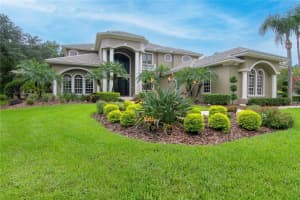 5016 GIVENDALE LANE, TAMPA, FL 33647 - MLS#MFRT3465715