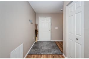 11154 RUNNING PINE DRIVE, RIVERVIEW, FL 33569 Sold 09/06/23