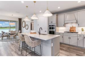 18867 SAILORS DELIGHT PASS, LAND O LAKES, FL 34638 Sold 01/10/24