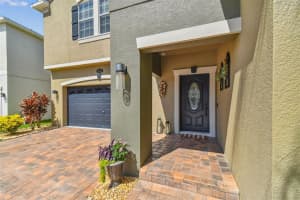 19352 PADDOCK VIEW DRIVE, TAMPA, FL 33647 Sold 11/01/23