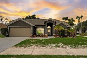 12106 SHADY FOREST DRIVE, RIVERVIEW, FL 33569 Sold 11/07/23