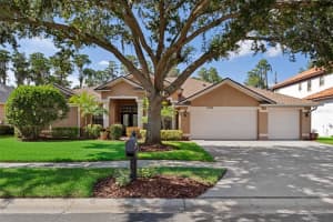 19710 LAKE OSCEOLA LANE, ODESSA, FL 33556 Sold 10/06/23