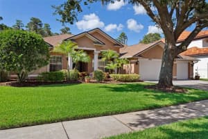 19710 LAKE OSCEOLA LANE, ODESSA, FL 33556 Sold 10/06/23