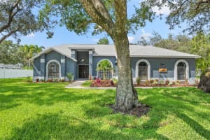 8806 CROSSWOOD COURT, RIVERVIEW, FL 33578 Sold 09/29/23