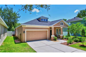 13305 TIGER LILLY LANE, TAMPA, FL 33625 Sold 11/21/23
