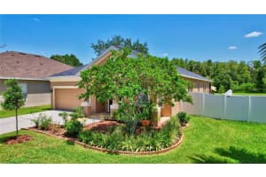 13305 TIGER LILLY LANE, TAMPA, FL 33625 Sold 11/21/23