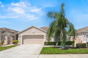 361 ROYAL PALM WAY, SPRING HILL, FL 34608 Sold 10/26/23