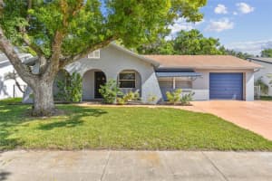 4240 RACCOON LOOP, NEW PORT RICHEY, FL 34653 Sold 10/31/23