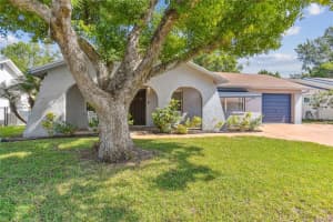 4240 RACCOON LOOP, NEW PORT RICHEY, FL 34653 Sold 10/31/23